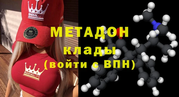 шишки Белокуриха