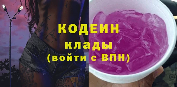 шишки Белокуриха