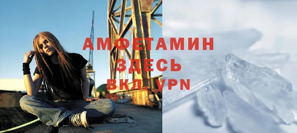 шишки Белокуриха