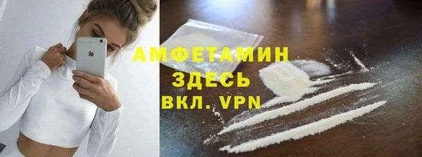 шишки Белокуриха