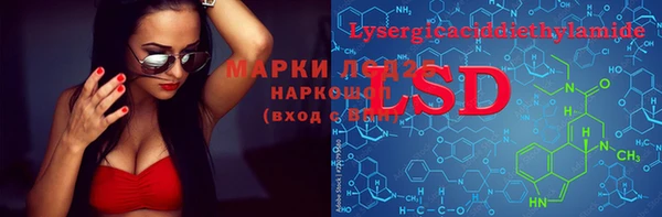 мяу мяу мука Богданович