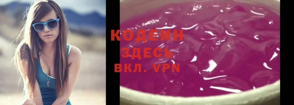 шишки Белокуриха