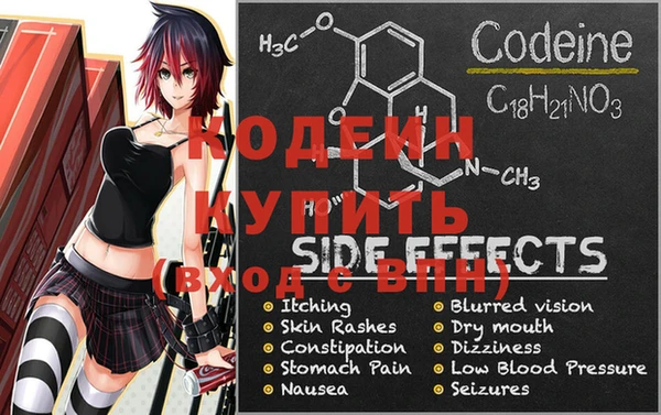 шишки Белокуриха