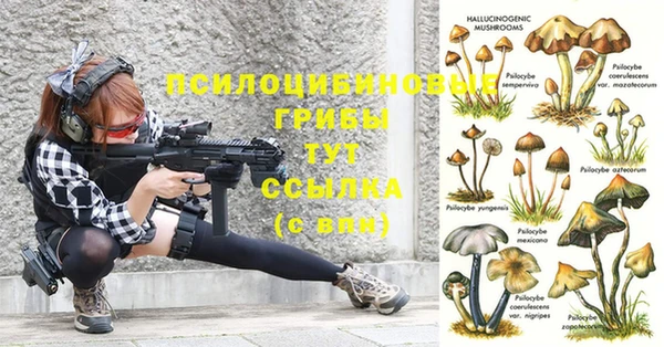 мдпв Беломорск