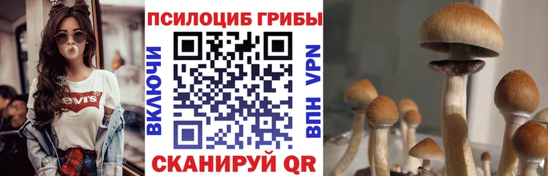 Псилоцибиновые грибы мицелий  купить  сайты  Белый 